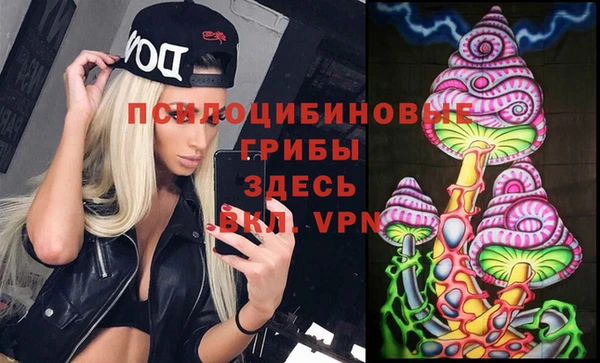 тгк Аркадак