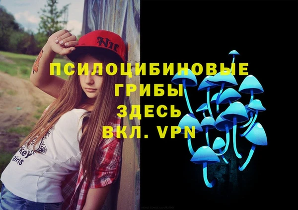 ALPHA PVP Алзамай