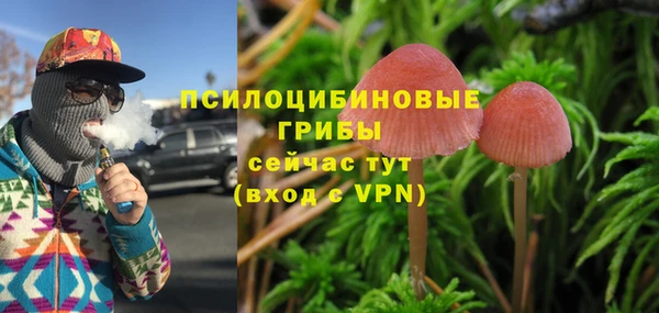 тгк Аркадак