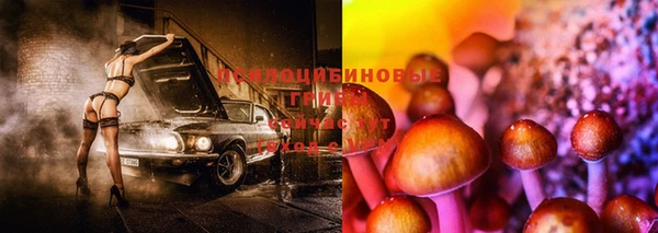 тгк Аркадак